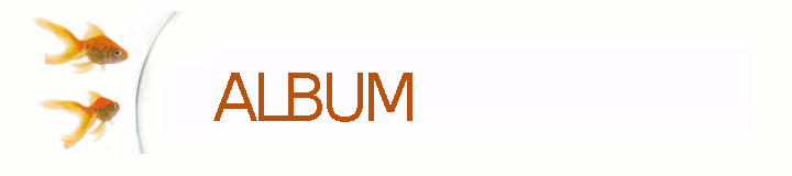 Two
        Goldfish Looking Into Bowl From Outside