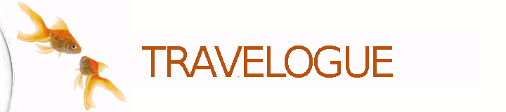 Two
        Goldfish Looking Into Bowl From Outside