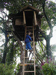 Maggie in a treehouse