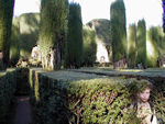 Girl in the maze in the Alcazar gardens