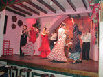 Flamenco show