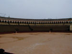 The bull ring