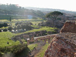 Looking from the palace, where the emperor had a private box, out to the Circus Maximus.  The cedar on the left side of the picture is on the end of the spina, a low wall running nearly the length of the Circus.  The Circus was 621 meters long and 118 meters wide.  It could hold 250,000 spectators.  Supposedly a collapse of the stands once killed 13,000.  According to our guidebook, chariot races didn't have many rules.  Knocking over competing charioteers or squeezing your opponent against the spina was just part of the game.  