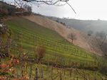 Guess what.  A picture of the Umbrian countryside