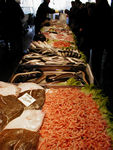 Fish market