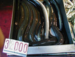 Eels at the fish market.  Fun to watch them wriggle around.