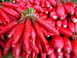 Radishes