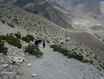 Trail down to Kagbeni - I think