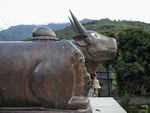 Nandi at the Galeshor temple