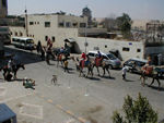 Tourists on their camel rides.  The most exciting part comes when they have to pay.