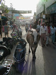 Varanasi street scene