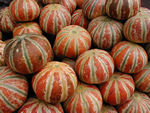 Melons
