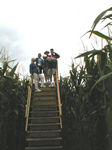 Bridge in the Malta corn maze